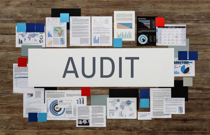 Audit Services